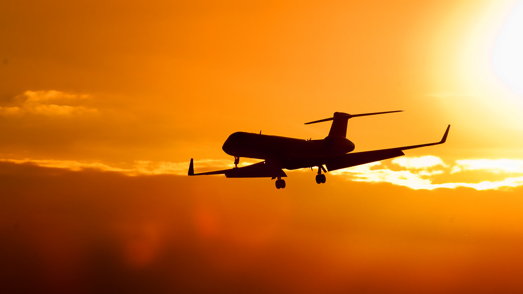 How to be a migrant fiction airplane rebecca ruth gold